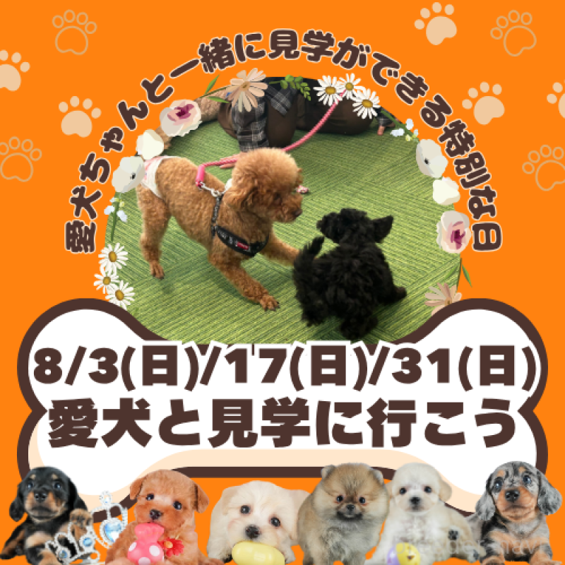 鈴木理菜ブリーダーの詳細